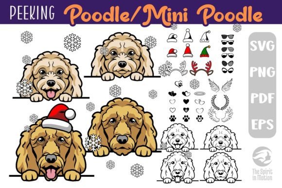 Download Poodle PNG, SVG, Clipart &amp; Cutfiles - Png Collection