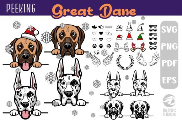 Download Great Dane PNG, SVG, Clipart &amp; Cutfiles - Png Collection